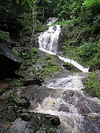 Stylish 3br Pool Villa Walk to Beautiful Naiyang Beach