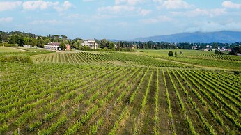 Elisa Farmhouse Apartment in Wine Resort