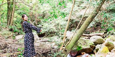 Kirishima Momijidani Seiryuso