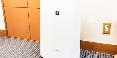 Kirishima Momijidani Seiryuso