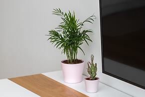 Northern Apartments Gdynia by Renters