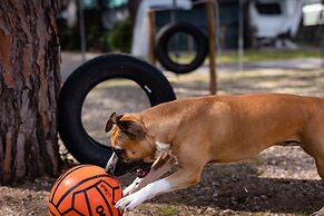 Anxur Village Camping