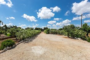 122 Lamia Madreperla by Barbarhouse