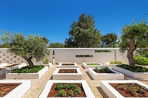 1978 Borgo Maresca by Perle di Puglia