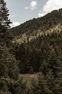 MANNA, a Member of Design Hotels