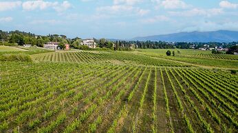 Pietro Farmhouse Apartment in Wine Resort in Lucca