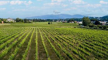 Pietro Farmhouse Apartment in Wine Resort in Lucca