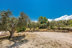 2526 Trullo Limone by Perle di Puglia