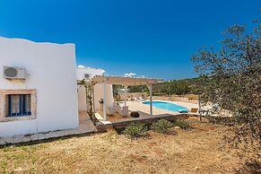 2530 Trullolive by Perle di Puglia