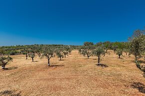 2530 Trullolive by Perle di Puglia