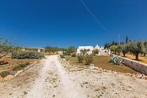 2530 Trullolive by Perle di Puglia