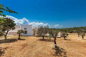 2530 Trullolive by Perle di Puglia