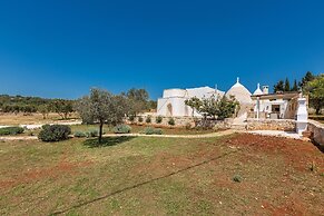 2530 Trullolive by Perle di Puglia