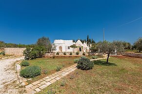 2530 Trullolive by Perle di Puglia