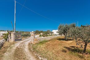 2530 Trullolive by Perle di Puglia