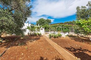 2985 Trullo tra gli Ulivi by Barbarhouse