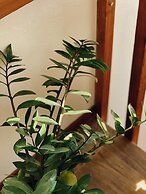 Casa Pantai Beach Village Praia do Rosa