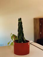 Casa Pantai Beach Village Praia do Rosa