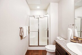 Spacious 3BR Apartment Central to All