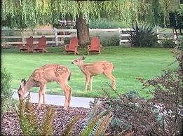 Country Willows Inn and Estate