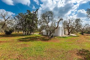 2770 Uliveto Valeria - Trullo Melograno by Perle di Puglia