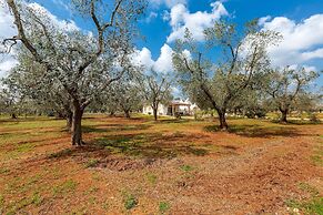 2770 Uliveto Valeria - Trullo Melograno by Perle di Puglia