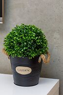 Dziwnów Spadochroniarzy by Renters