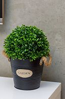 Dziwnów Spadochroniarzy by Renters