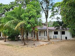 Ceiba Beach Resort