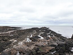 Barnacle Cove