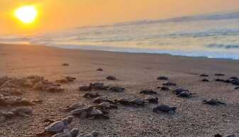 Hotel EbenEzer El Paredon