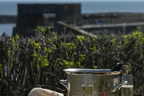 Creel Cottage, Craster