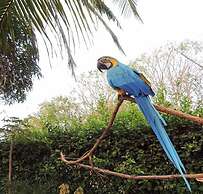 Portoazul Casa de Playa