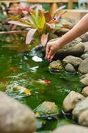 Pousada Cacau Praia do Rosa