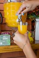 Pousada Cacau Praia do Rosa