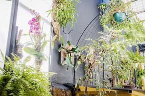 Luz De Luna Hotel Barrio Escalante