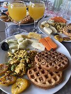 Birds & Breakfast