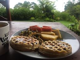 Birds & Breakfast