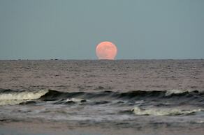 Spacious Condo in the Heart of Hilton Head