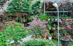 CALI HILL RESORT & SPA