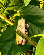 Hostal Búho Amazonas Tours - Hostel