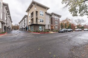 Modern Apartment With Upgraded Amenities Near CSU