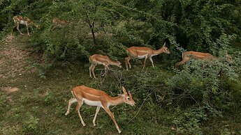 amã Stays & Trails Abhay Villa, Bisalpur
