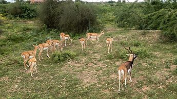 amã Stays & Trails Abhay Villa, Bisalpur