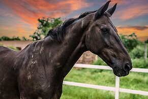 amã Stays & Trails Abhay Villa, Bisalpur