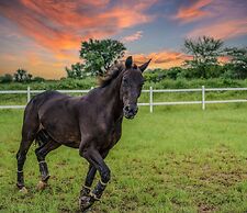 amã Stays & Trails Abhay Villa, Bisalpur