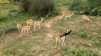 amã Stays & Trails Abhay Villa, Bisalpur
