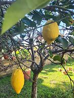 Casa Villaggio Pirandello