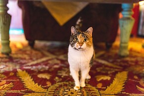 The Common Man Inn & Spa