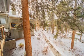 Flying Dutchman 1106